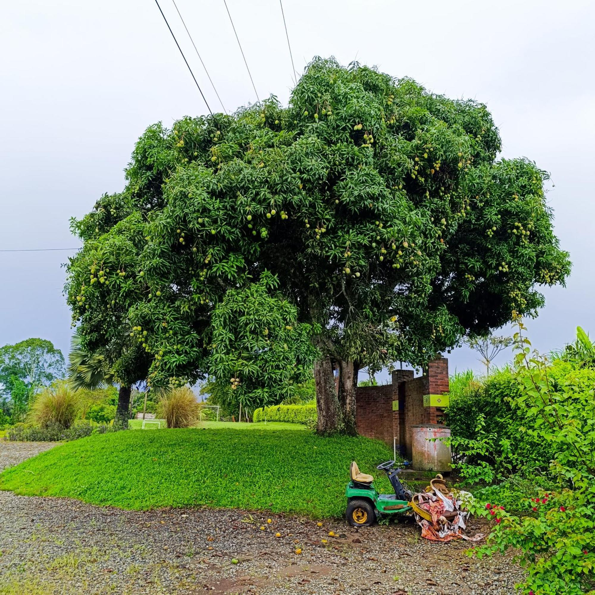 Hotel Campestre Los Mangos Quimbaya Eksteriør billede