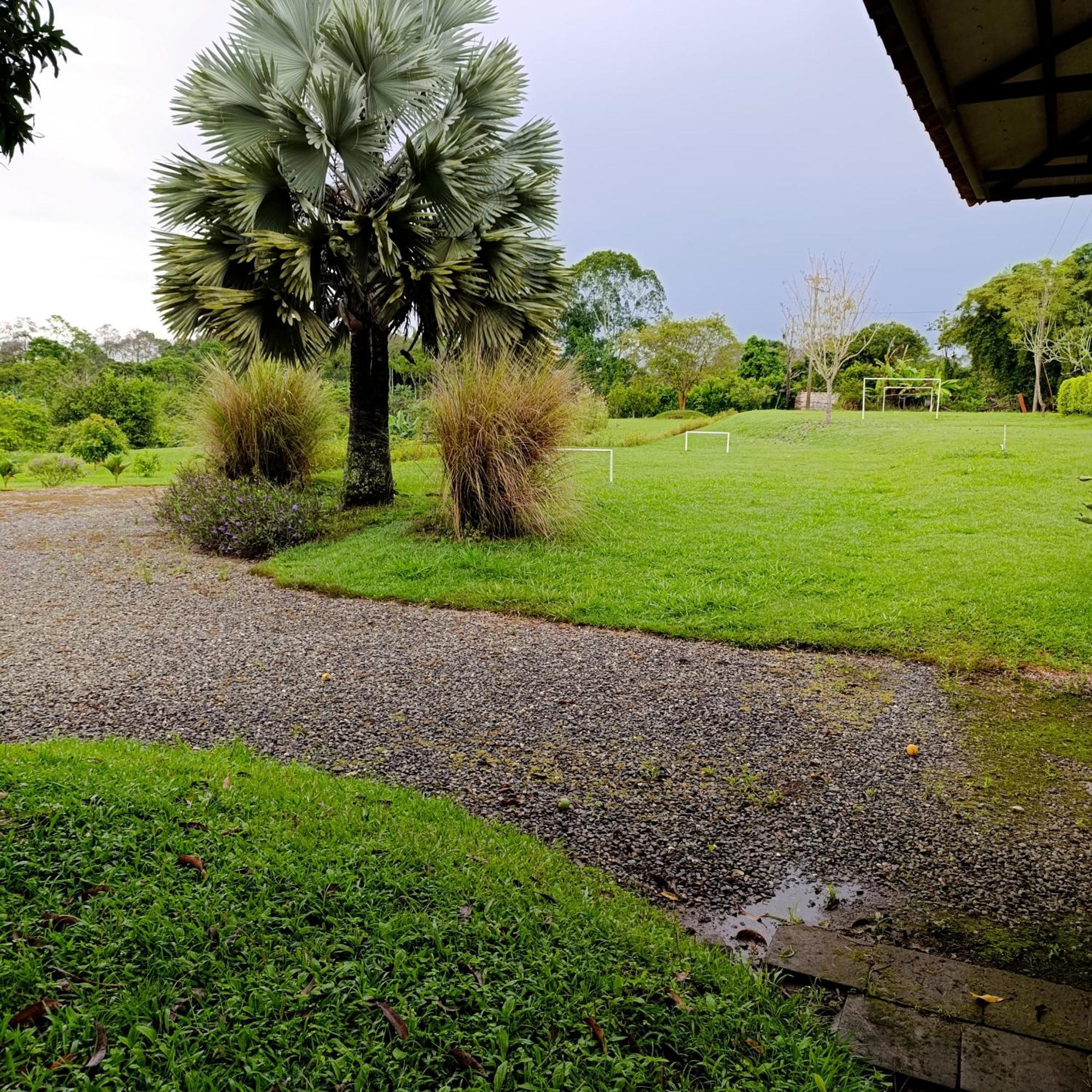 Hotel Campestre Los Mangos Quimbaya Eksteriør billede