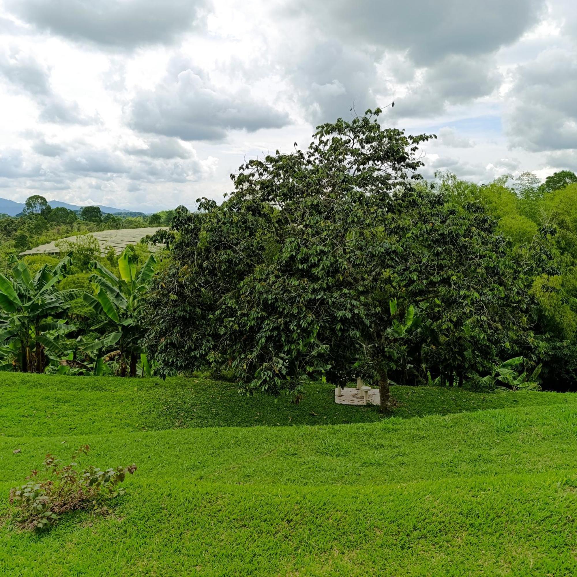 Hotel Campestre Los Mangos Quimbaya Eksteriør billede