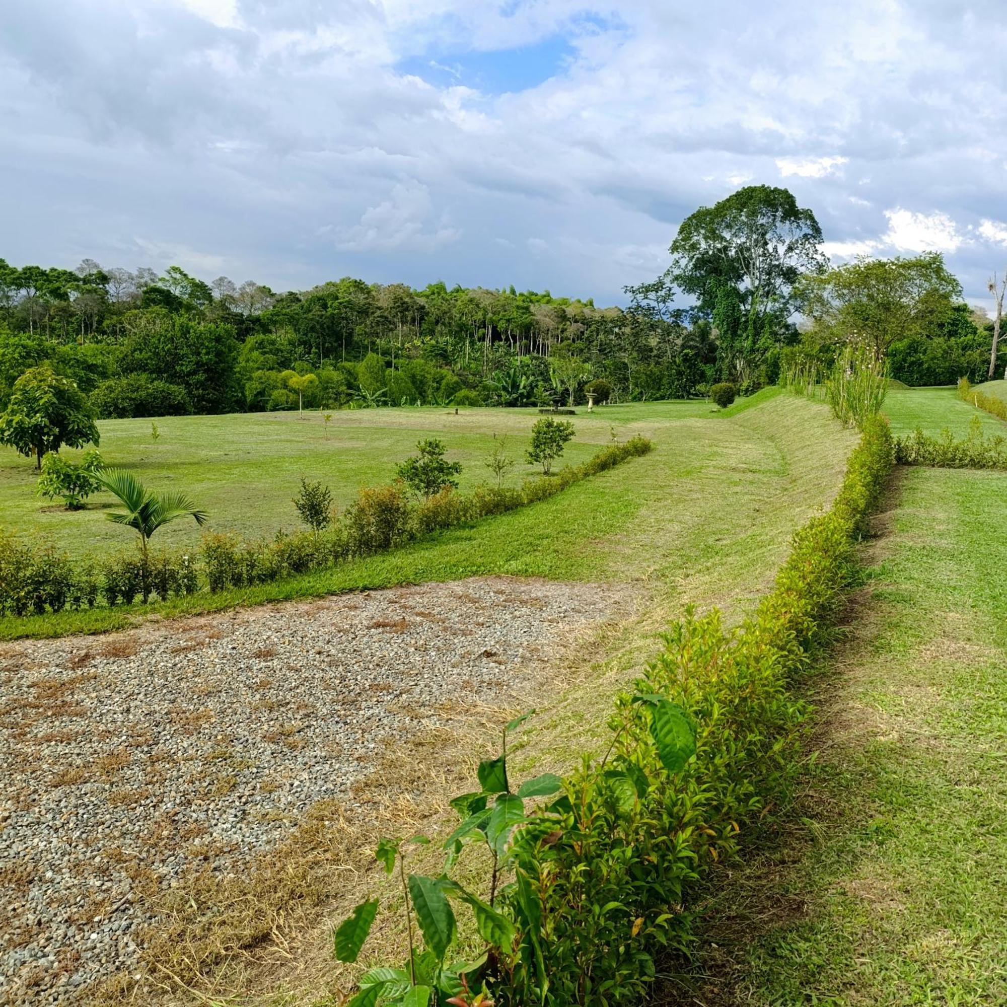 Hotel Campestre Los Mangos Quimbaya Eksteriør billede